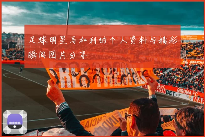 足球明星马加利的个人资料与精彩瞬间图片分享