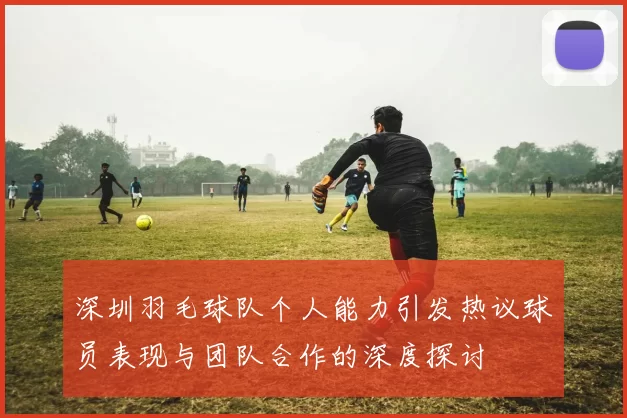 深圳羽毛球队个人能力引发热议球员表现与团队合作的深度探讨