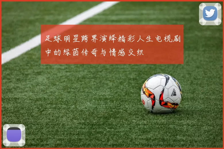 足球明星跨界演绎精彩人生电视剧中的绿茵传奇与情感交织