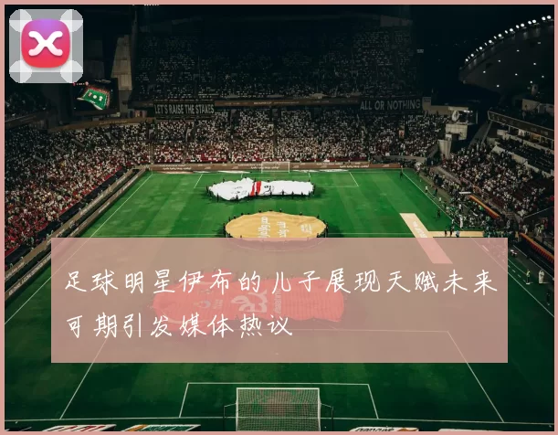 足球明星伊布的儿子展现天赋未来可期引发媒体热议