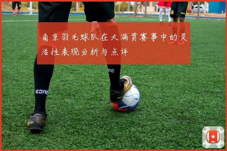南京羽毛球队在大满贯赛事中的灵活性表现分析与点评