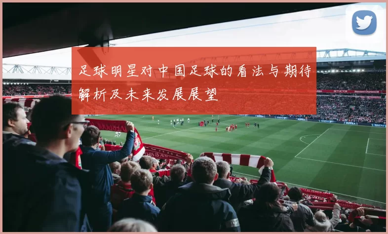 足球明星对中国足球的看法与期待解析及未来发展展望