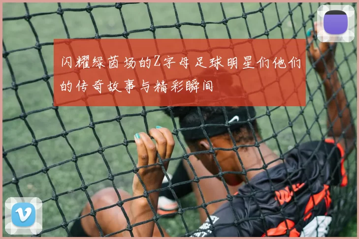 闪耀绿茵场的Z字母足球明星们他们的传奇故事与精彩瞬间