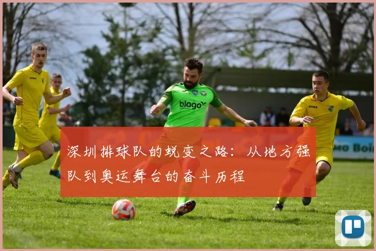 深圳排球队的蜕变之路：从地方强队到奥运舞台的奋斗历程