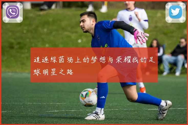 追逐绿茵场上的梦想与荣耀我的足球明星之路