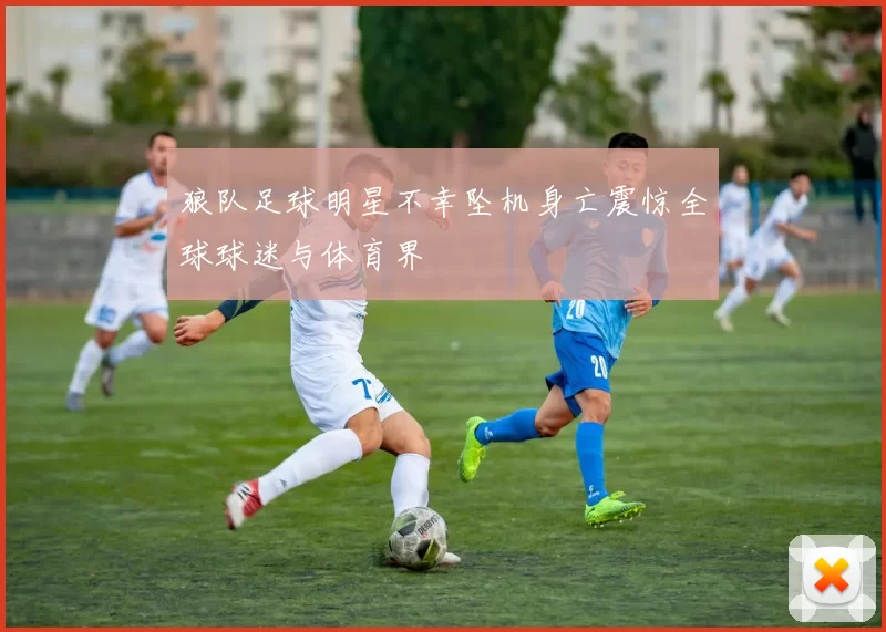 狼队足球明星不幸坠机身亡震惊全球球迷与体育界