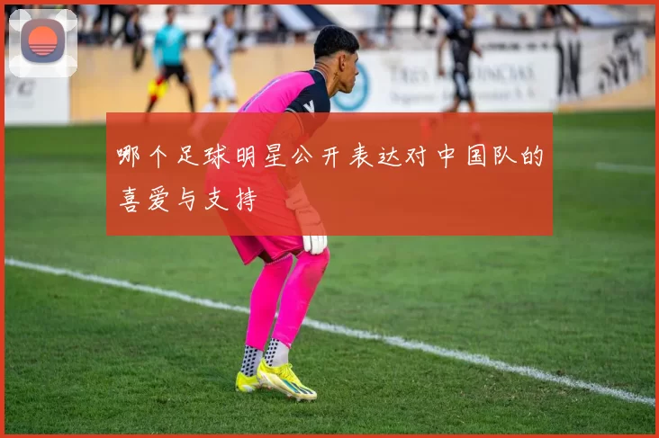 哪个足球明星公开表达对中国队的喜爱与支持