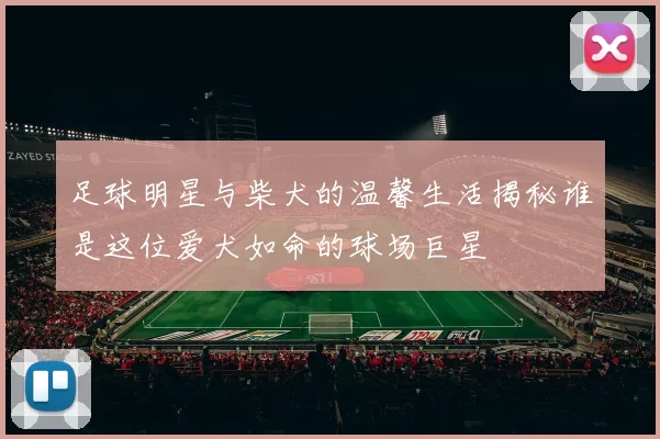 足球明星与柴犬的温馨生活揭秘谁是这位爱犬如命的球场巨星