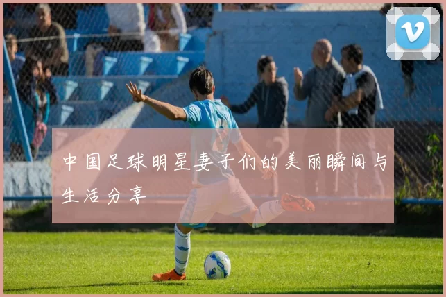 中国足球明星妻子们的美丽瞬间与生活分享