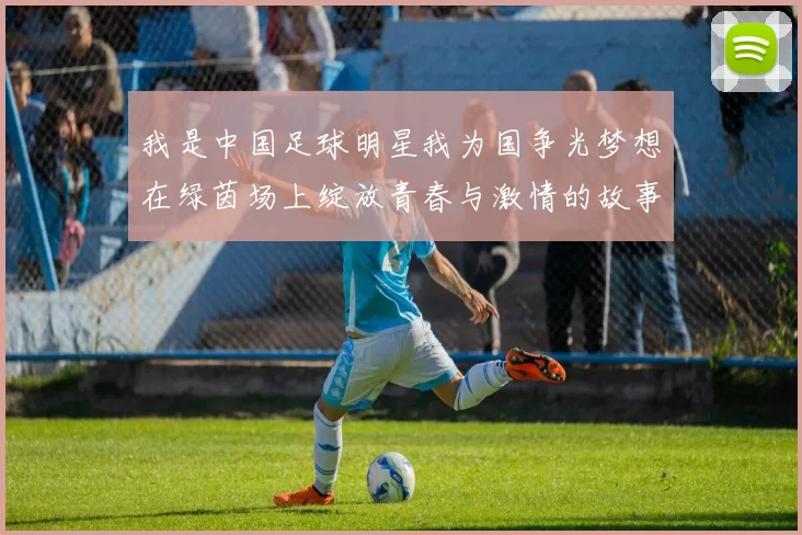 我是中国足球明星我为国争光梦想在绿茵场上绽放青春与激情的故事